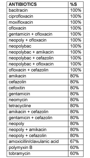 Pasteurella canis